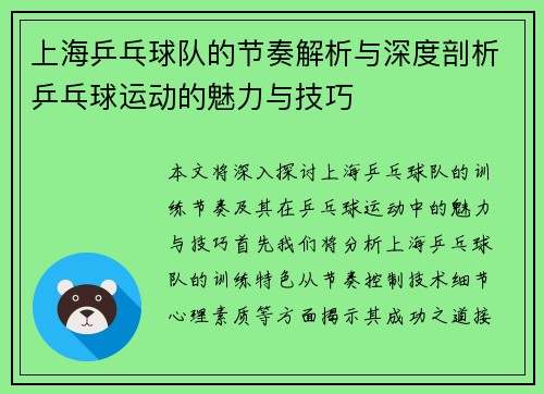 上海乒乓球队的节奏解析与深度剖析乒乓球运动的魅力与技巧